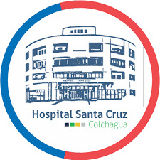 Logo Hospital de Santa Cruz